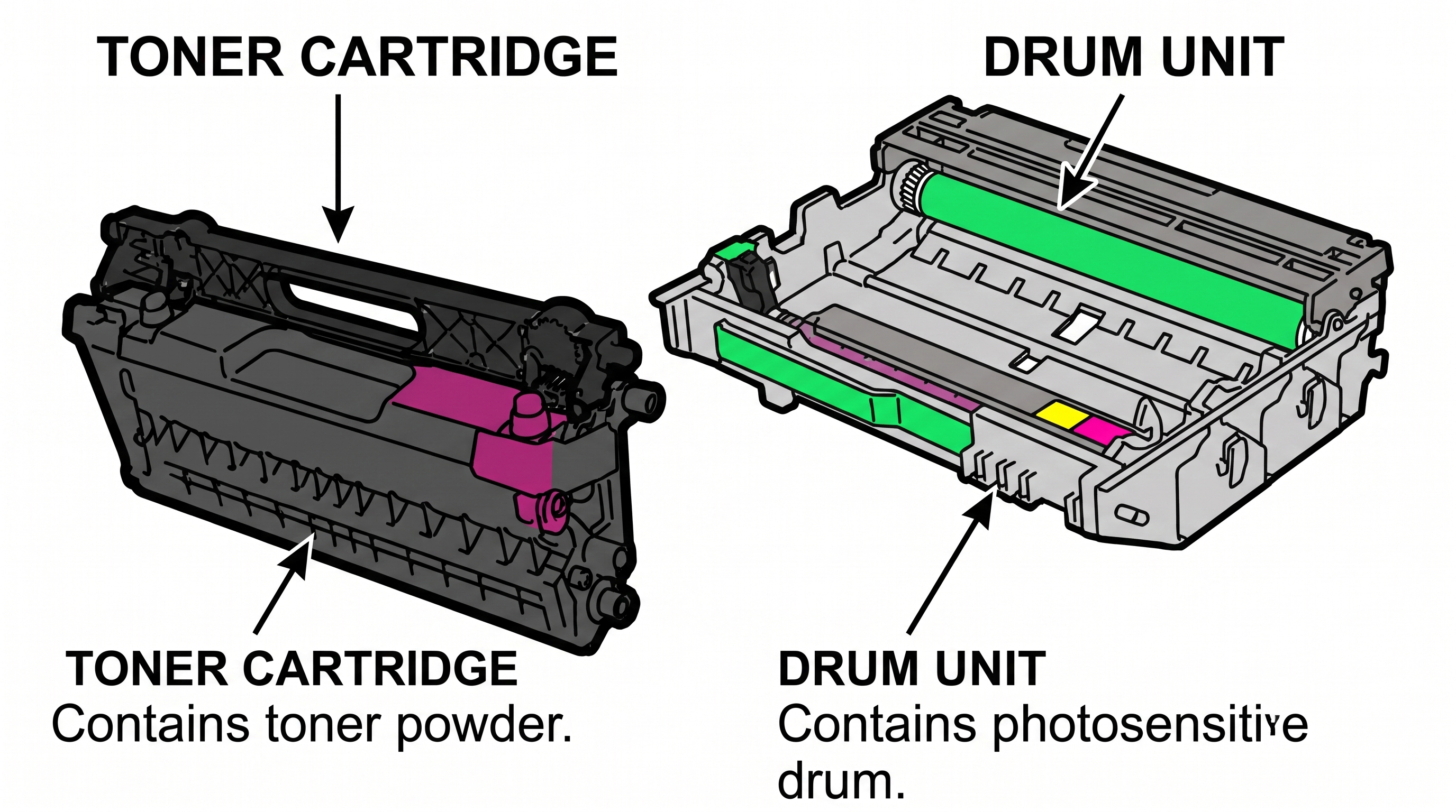 Toner and Drum Units Separate toner cartridge and drum unit for a laser printer